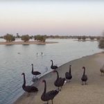 Al Qudra Lake Camp Location